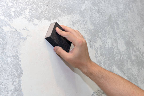 Best Comprehensive Air Testing for Mold Contaminants  in Beaver, WV