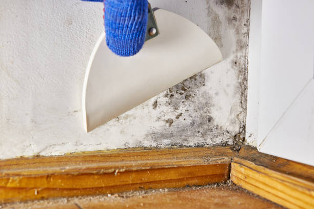 Best Post-Remediation Verification Testing  in Beaver, WV