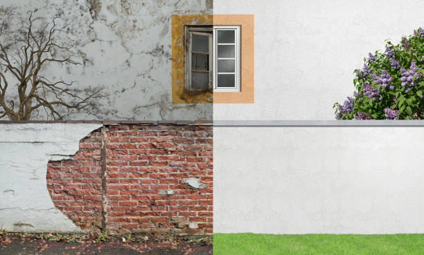 Best Post-Construction Mold Inspection  in Beaver, WV