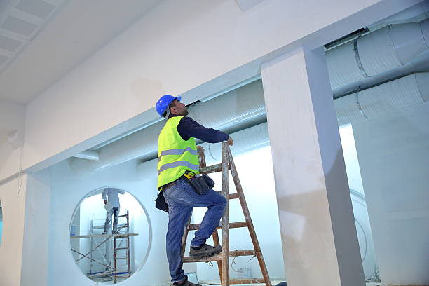 Best Attic Mold Removal  in Beaver, WV